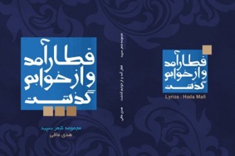 نقد و تحلیل کتاب قطار آمد و از خوابم گذشت