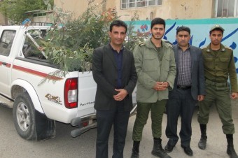 توزیع هزار اصله درخت در بین نمازگزاران جمعه پلدختر 