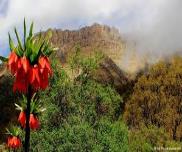 غرب ایران